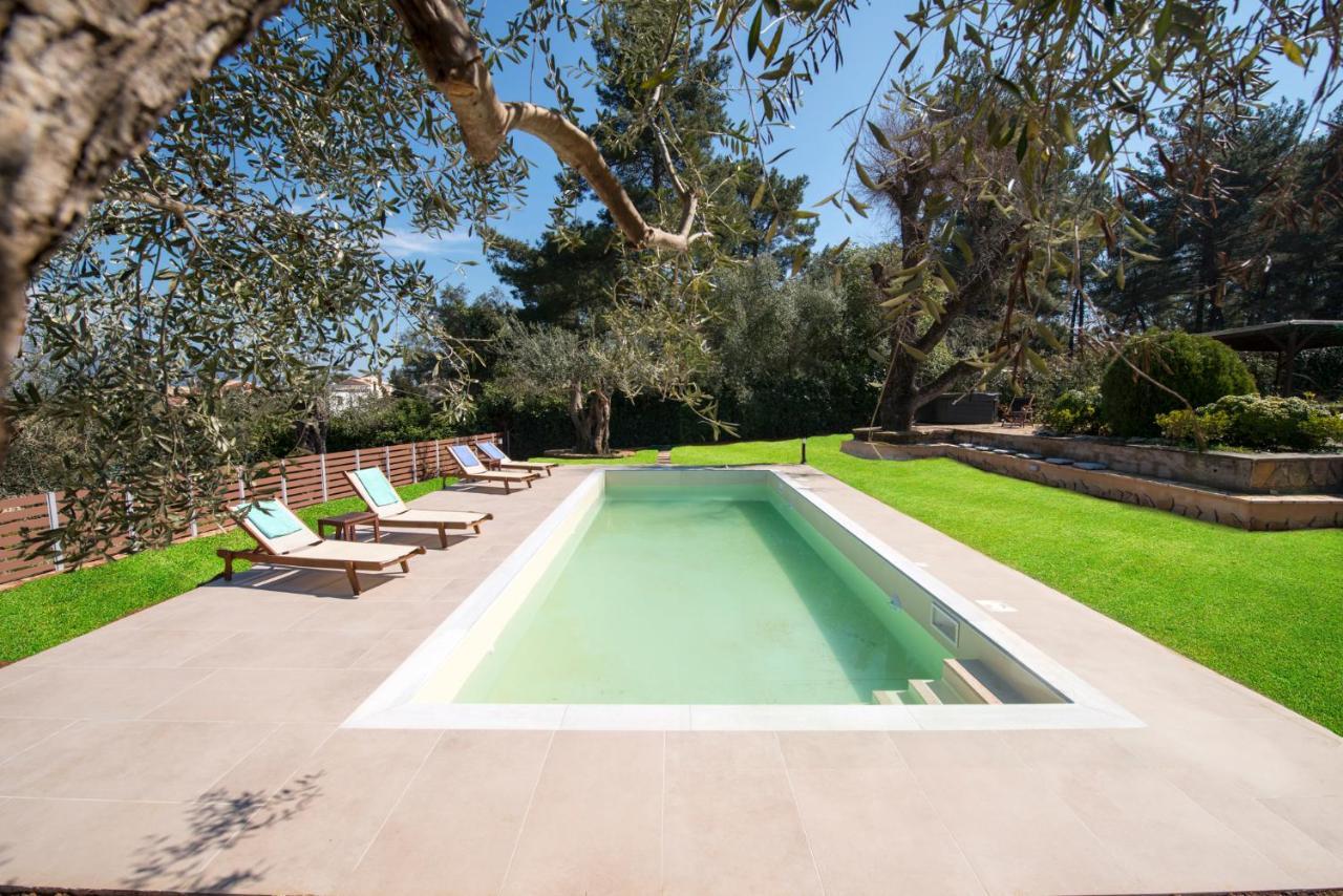 Spyrelia Villa With Private Pool & Outdoor Hot Tub Dassia  Eksteriør billede